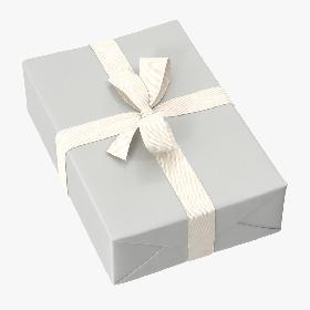 Wrapped Christmas Gift 02 Large 01 model